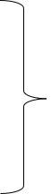 CurlyBrackets