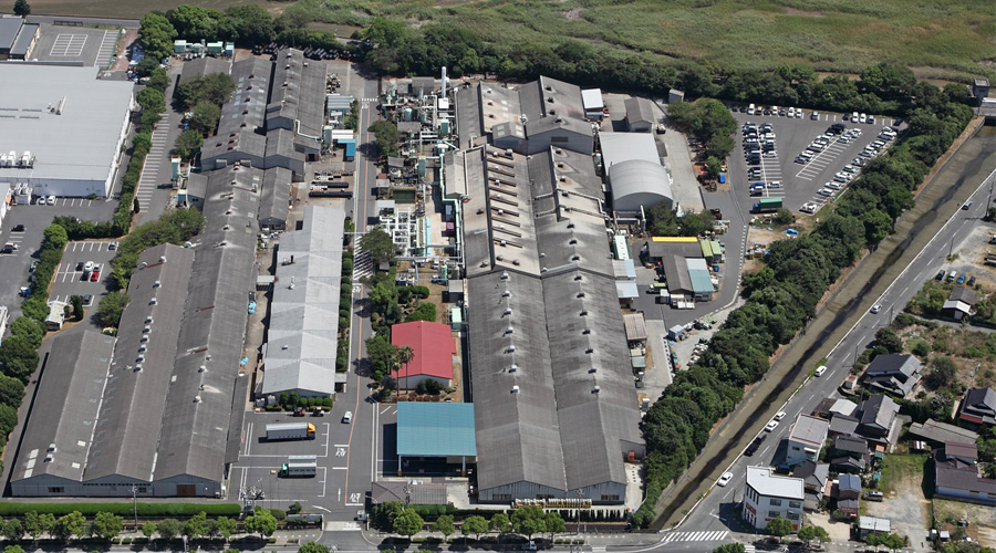 Photo of HIKARI Plant