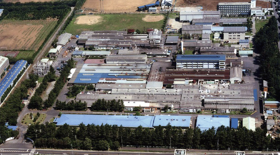 Photo of NARASHINO Plant