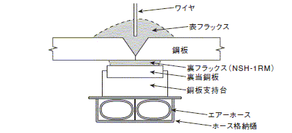 図3 FCuB法の概要