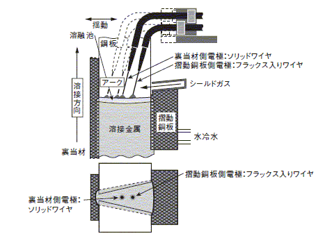 図5 2電極VEGA法の概要