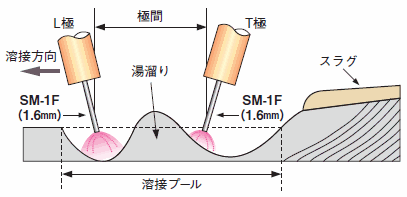 図3 HS-MAG法の概略図（2電極1プール法）