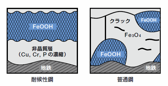 図2 耐候性鋼と普通鋼のさび構造模式図