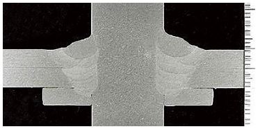 写真4 SX-55の断面マクロ写真